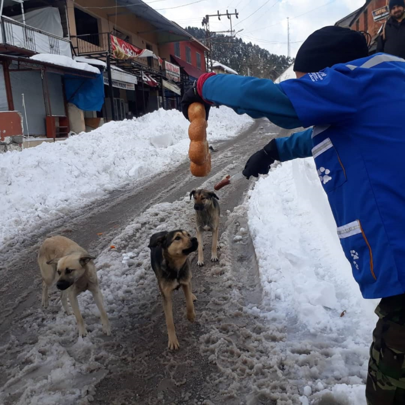 ZORKUN'DAKİ SOĞUK HAVADA HAYVANLARDA DÜŞÜNÜLDÜ 